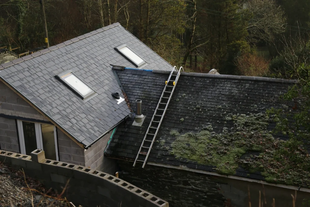 Aerial view of extreme moss growth on roof needing maintenance