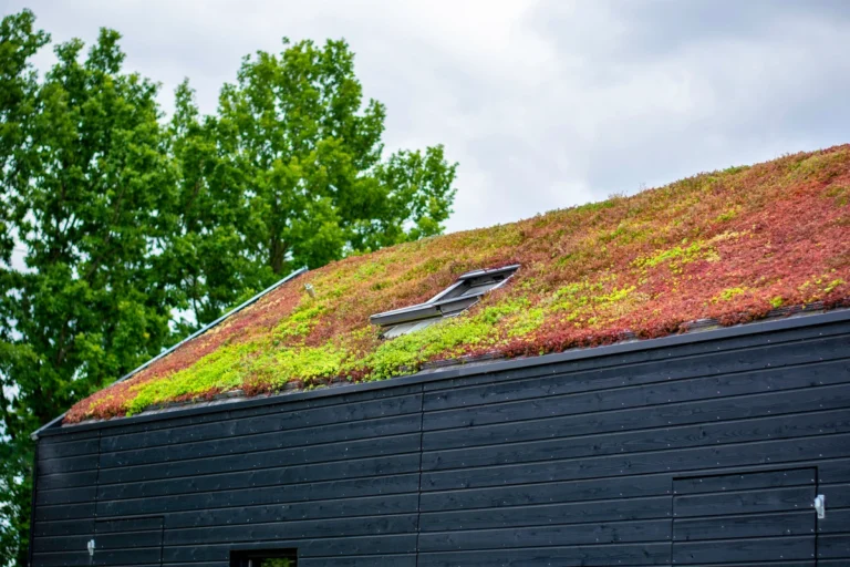 eco friendly house roof covered with green
