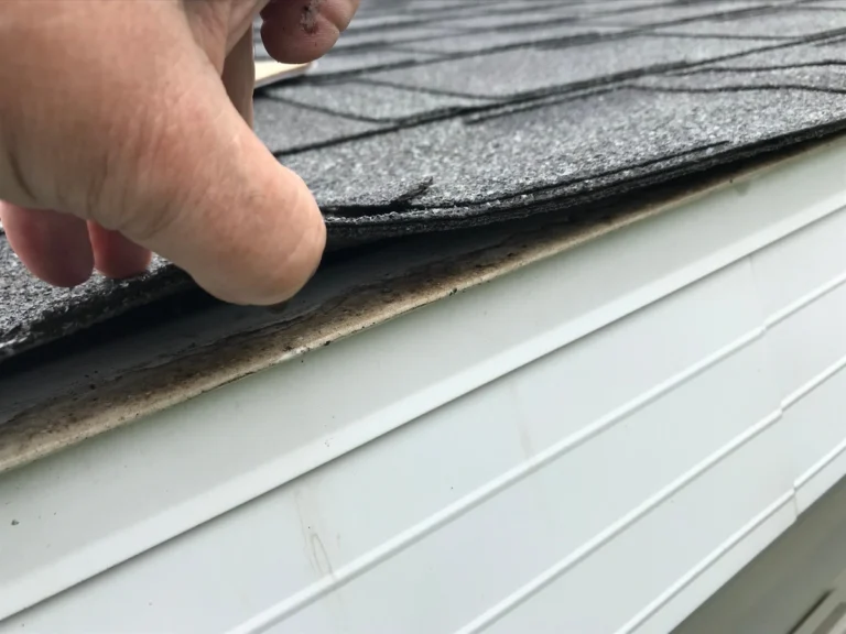close up of roof shingle inspection and maintenance