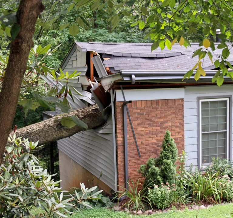 house after storm with a fallen tree on