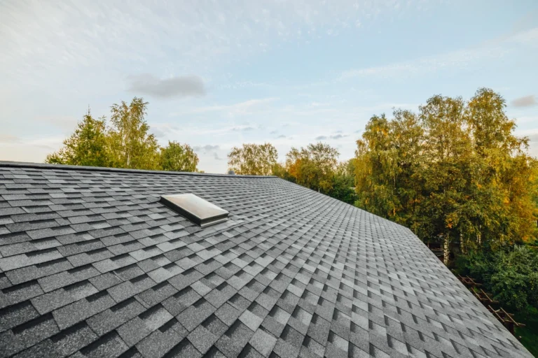 a gray composite shingle roof with a skylight