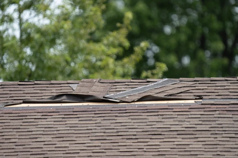 shingle damage