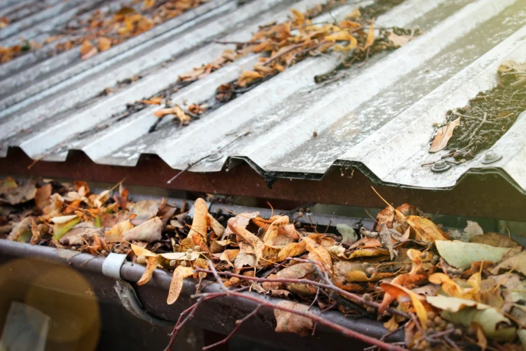 branches and leaves in gutter