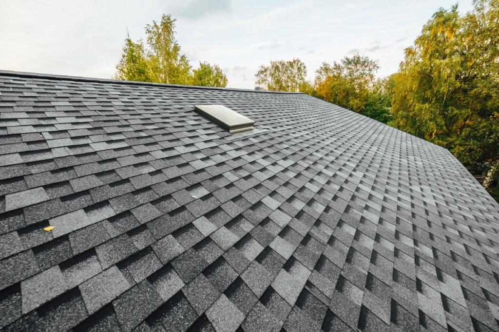 shingle roof