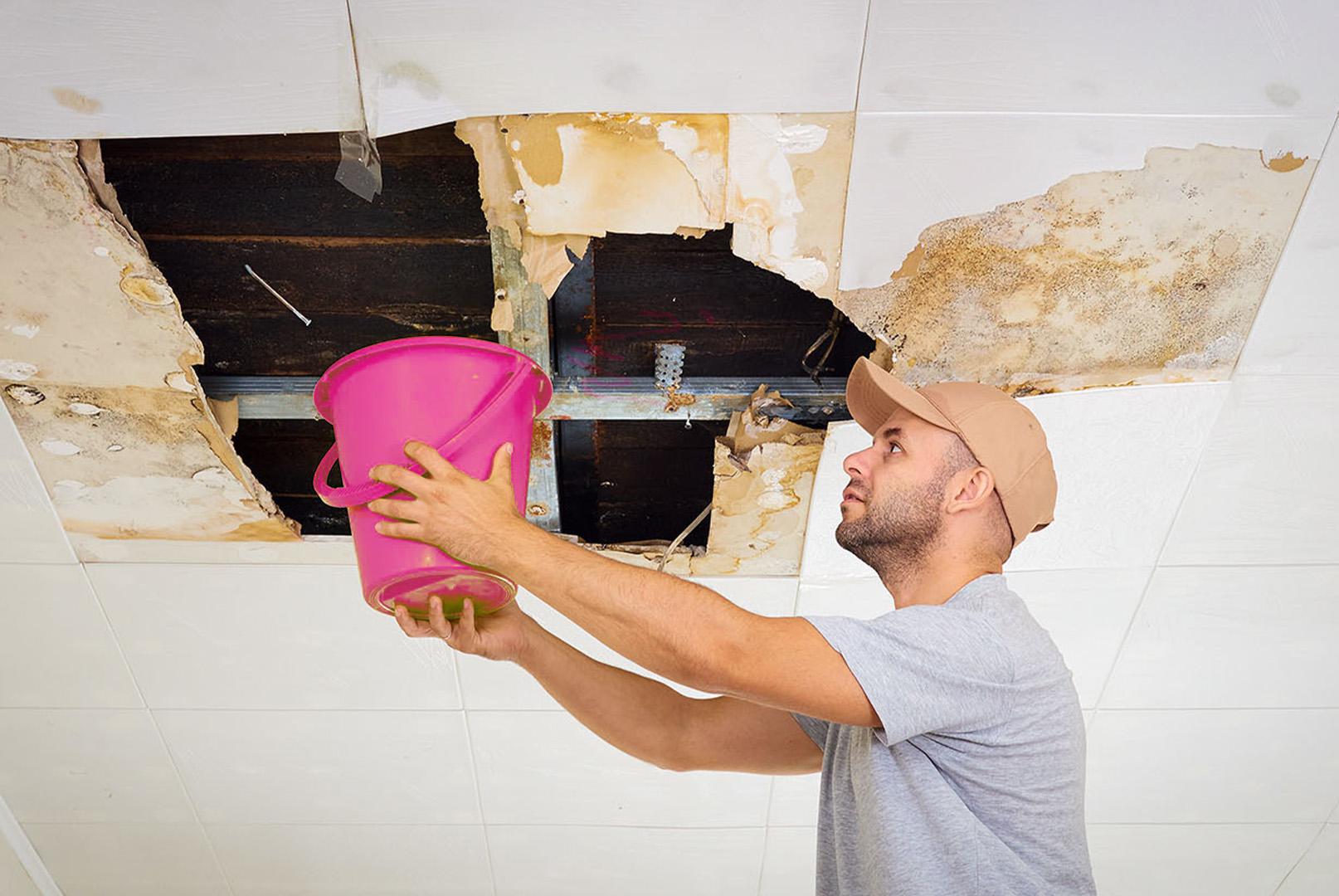 5 Indicators Your Roof is Leaking1