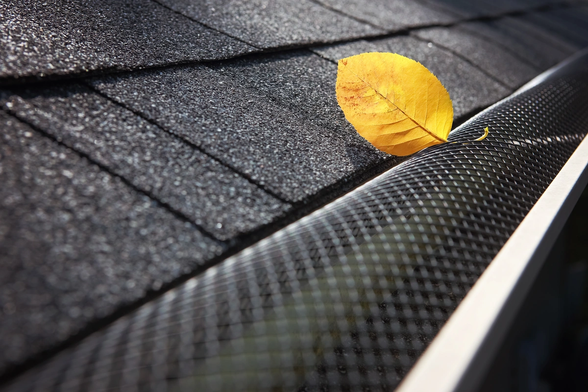 leaf and gutter guards 1